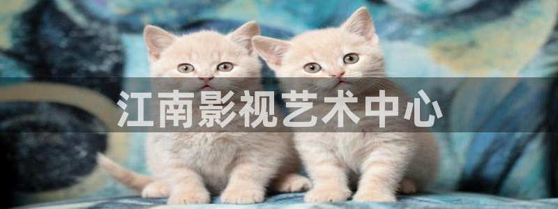 星空影院免费观看电影短剧